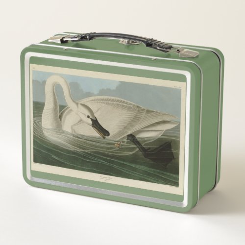 Trumpeter Swan _ from Audubons Birds of America Metal Lunch Box