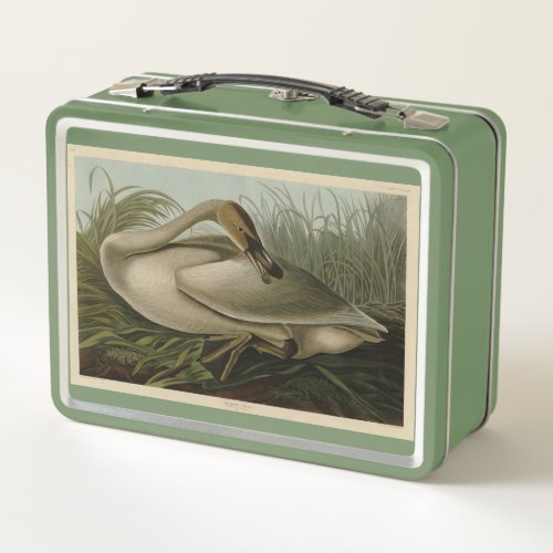Trumpeter Swan _ from Audubons Birds of America Metal Lunch Box