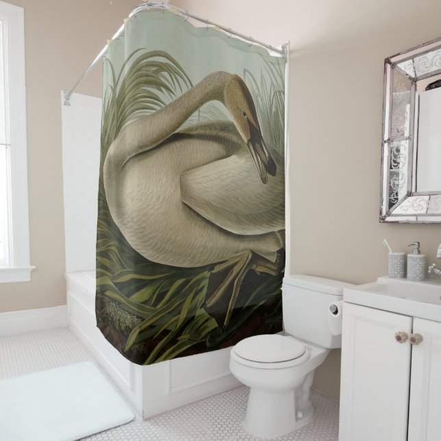 Trumpeter Swan - from Audubon's Birds of America S Shower Curtain (In Situ)