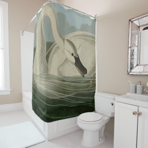 Trumpeter Swan _ from Audubons Birds of America Shower Curtain