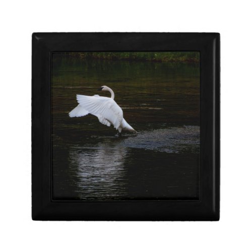 Trumpeter Swan Gift Box