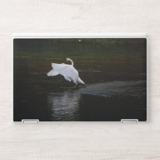 Trumpeter Swan HP Laptop Skin