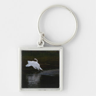 Trumpeter Swan Keychain