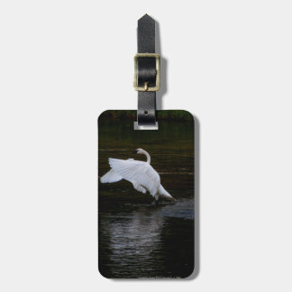 Trumpeter Swan Luggage Tag