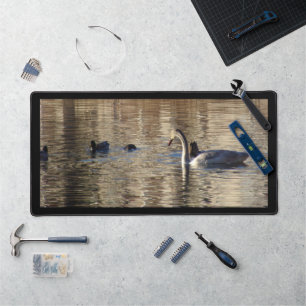 Trumpeter Swan n Mallard Ducks Mat