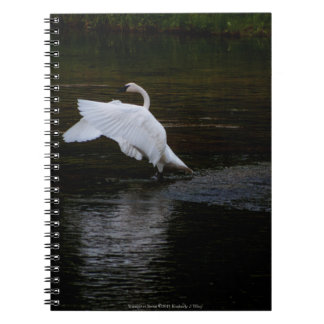 Trumpeter Swan Notebook