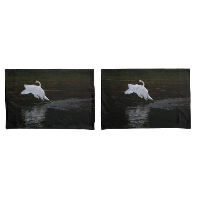 Trumpeter Swan Pillow Case (Front-Set)