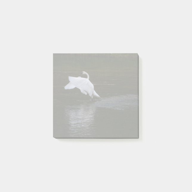 Trumpeter Swan Post-it Notes (Front)