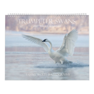 Trumpeter Swan Premium Large-format Wall Calendar
