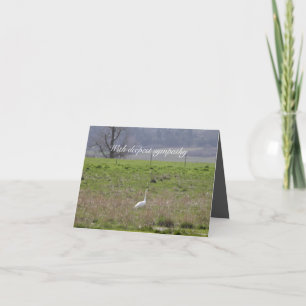 Trumpeter Swan San Juan Island Birthday Sympathy Card