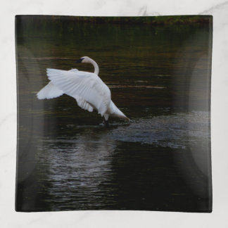 Trumpeter Swan Trinket Tray