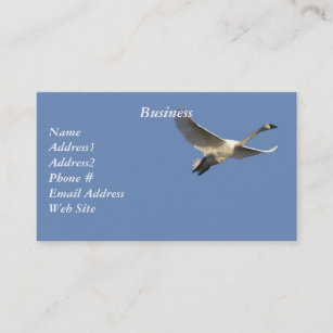 Trumpeter Swans Business Cards