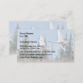 Trumpeter Swans in Flight Business Card (Front/Back)