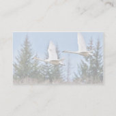 Trumpeter Swans in Flight Business Card (Back)