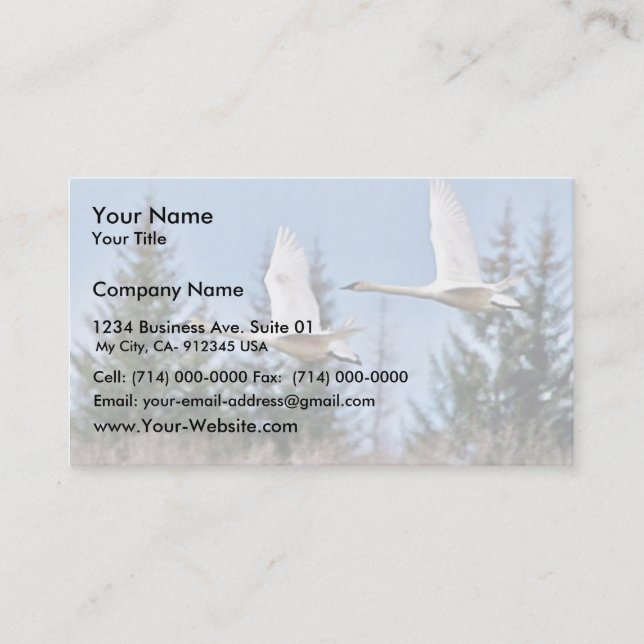 Trumpeter Swans in Flight Business Card (Front)