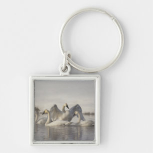 Trumpeter Swans in the Madison River in winter Keychain