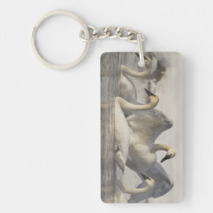 Trumpeter Swans in the Madison River in winter Keychain