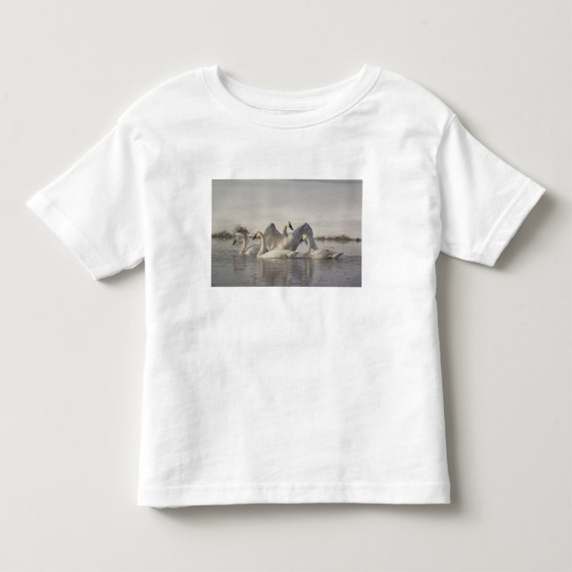 Trumpeter Swans in the Madison River in winter Toddler T-shirt (Front)