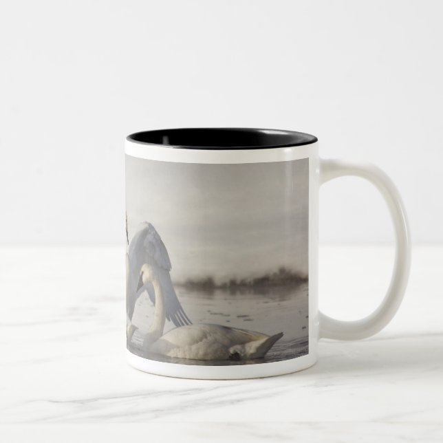 Trumpeter Swans in the Madison River in winter Two-Tone Coffee Mug (Right)