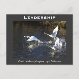 Trumpeter Swans Motivational Gifts Postcard