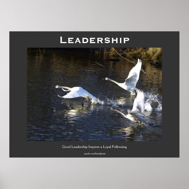 Trumpeter Swans Motivational Poster (Front)