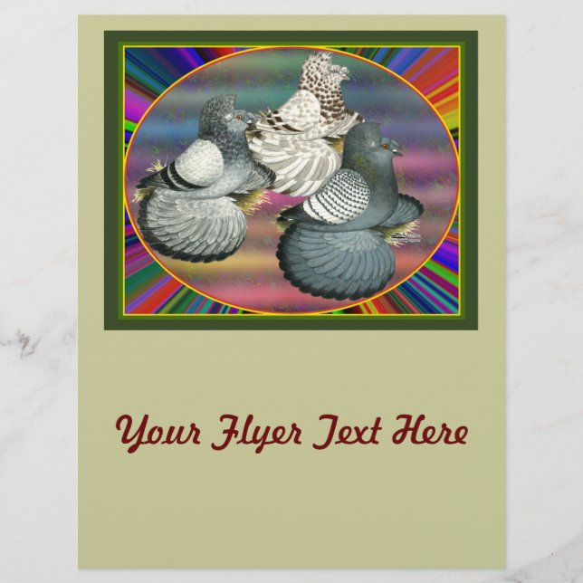 Trumpeters Pigeons Three Flyer (Front)