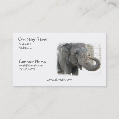 Trumpeting Elephant Business Card