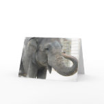 Trumpeting Elephant Greeting Card
