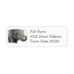 Trumpeting Elephant Return Address Label
