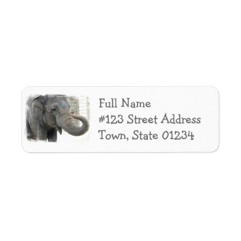 Trumpeting Elephant Return Address Label by WildlifeAnimals at Zazzle