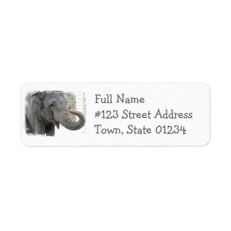 Trumpeting Elephant Return Address Label
