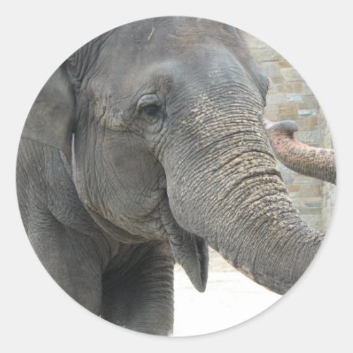 Trumpeting Elephant Sticker