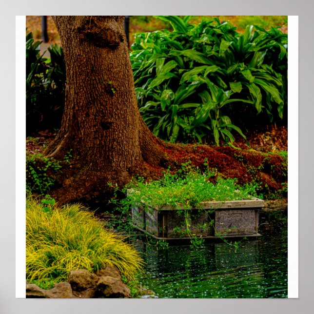 Trunk and Water Poster (Front)