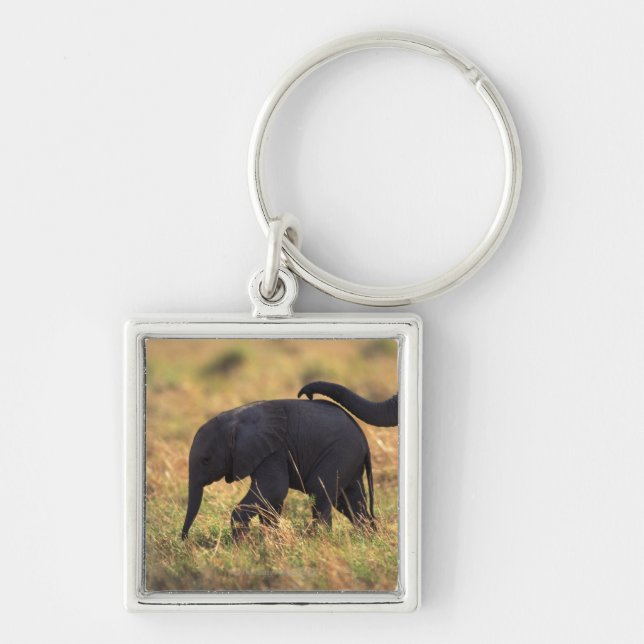 Trunk of elephant touching offspring , Kenya , Keychain (Front)