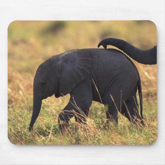Trunk of elephant touching offspring , Kenya , Mouse Pad (Front)