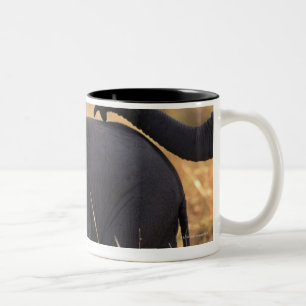 Trunk of elephant touching offspring , Kenya , Two-Tone Coffee Mug