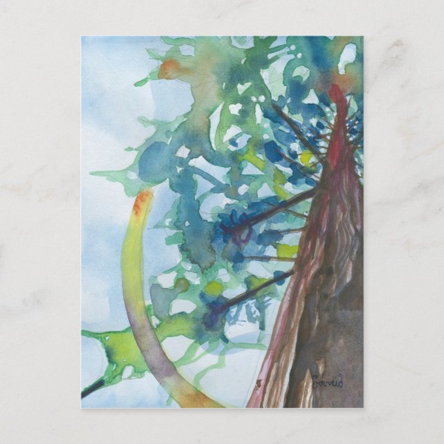 Trunk Postcard (Front)