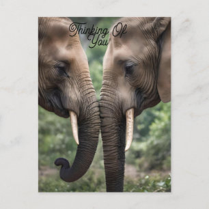 "Trunk to Trunk: A Gentle Elephant Embrace" Postcard