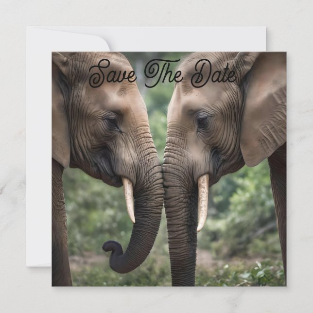 "Trunk to Trunk: A Gentle Elephant Embrace"  Save The Date (Front)
