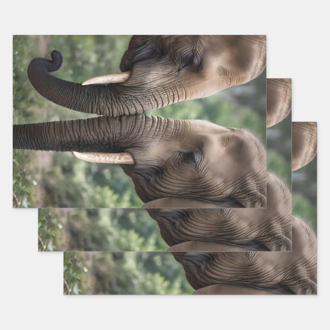 "Trunk to Trunk: A Gentle Elephant Embrace"  Wrapping Paper Sheets (Set)
