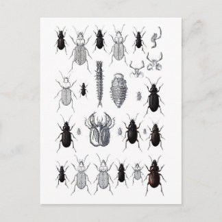 Truppe von alien postcard