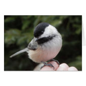 Trust (Front Horizontal)