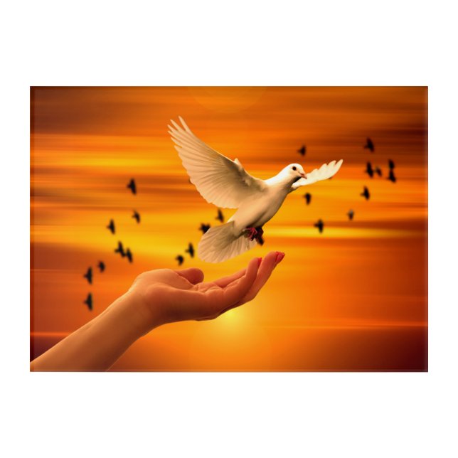 Trust God with Dove in Hand Acrylic Print (Front)
