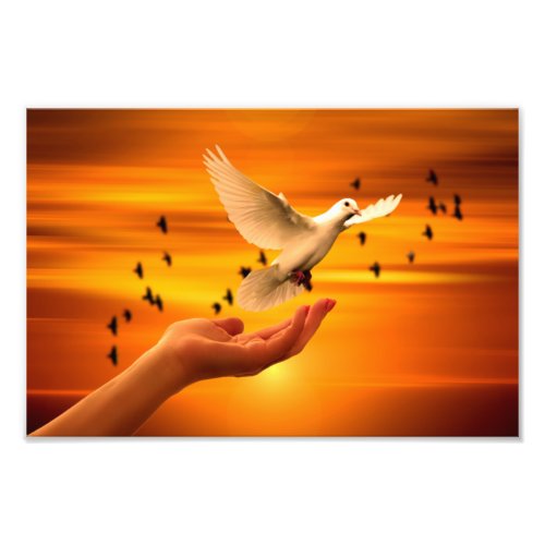 Trust God with Dove in Hand Photo Print