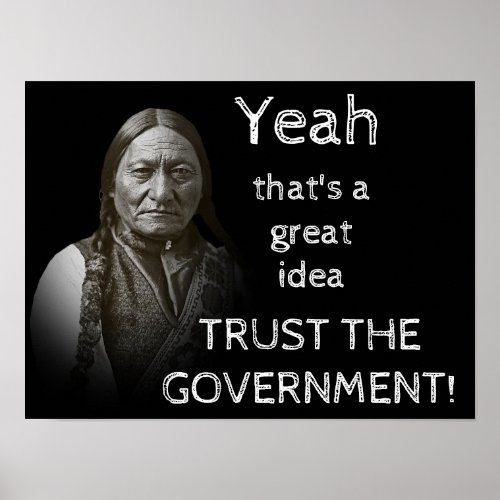 Trust The Government Poster