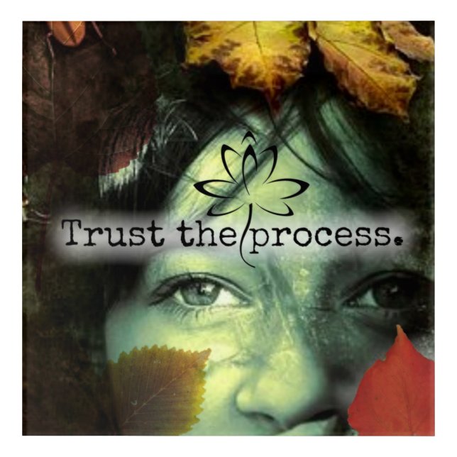 Trust the Process Acrylic Print (Front)