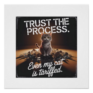 Trust The Process Cat Office Humor Meme Poster