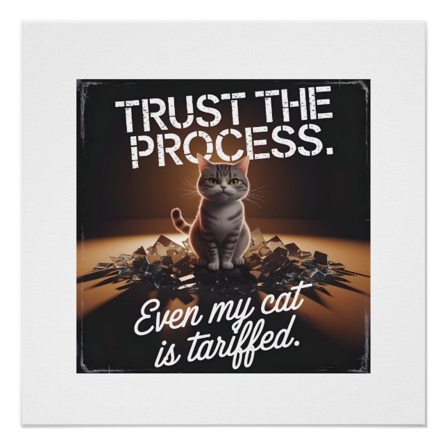 Trust The Process Cat Office Humor Meme Poster (Front)