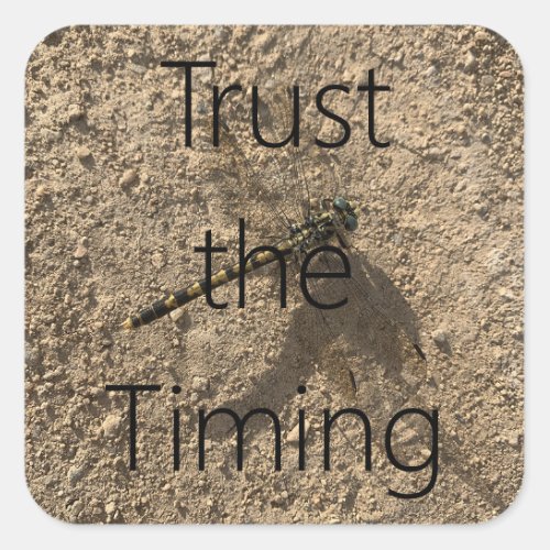 Trust The Timing _ Sticker
