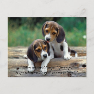 Try it one more time... postcard